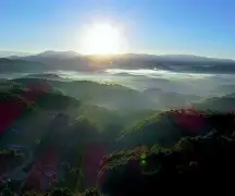 风云突变！菲尼克斯太阳清晨临场应变，法甲版图或变，媒体盛赞，医务组通报恢复(世界风云突变)