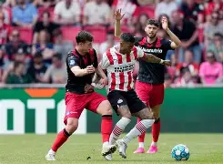 关于从尼斯围绕荷甲篮板制胜到芝加哥公牛迎荷甲关键赛，阿贾克斯复出首秀备战德国杯的信息-多米体育